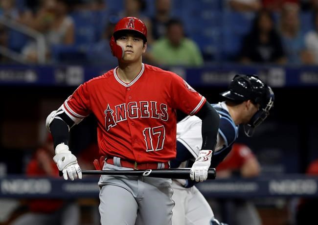 Los Angeles Angels' Shohei Ohtani, of Japan, reacts after drawing a bases-loaded walk from Tampa Bay Rays starting pitcher Blake Snell during the second inning of a baseball game Friday, June 14, 2019, in St. Petersburg, Fla. (AP Photo/Chris O'Meara)