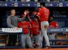 Los Angeles Angels' Shohei Ohtani (17), of Japan, celebrates with teammates in the seventh inning of a baseball game against the Tampa Bay Rays on Thursday, June 13, 2019, in St. Petersburg, Fla. Ohtani hit for the cycle in the game. (AP Photo/Chris O'Meara)