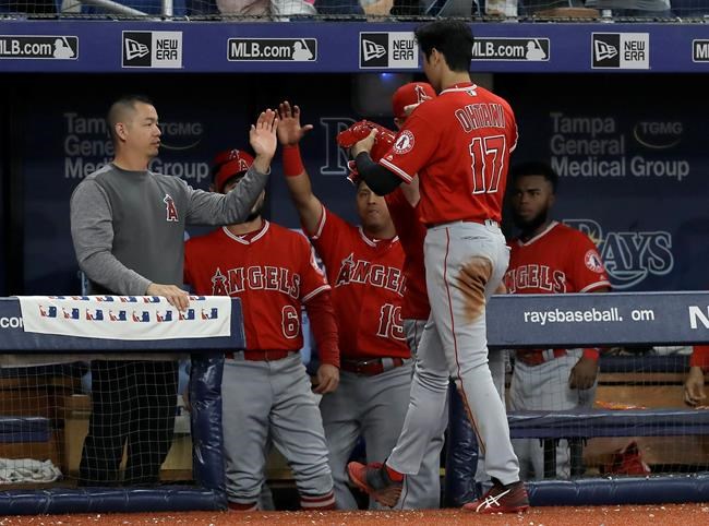 Los Angeles Angels' Shohei Ohtani (17), of Japan, celebrates with teammates in the seventh inning of a baseball game against the Tampa Bay Rays on Thursday, June 13, 2019, in St. Petersburg, Fla. Ohtani hit for the cycle in the game. (AP Photo/Chris O'Meara)