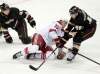 Tribune Media MCT
Maxime Macenauer plays at the Honda Center in Anaheim, California, on Wednesday, December 14, 2011.