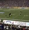 YouTube
Buzz was tackled from behind by a man who ran onto the field during a break in Saturday's game.