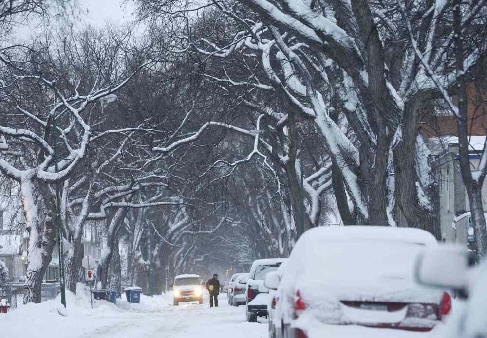 Snow cleanup using 150 pieces of heavy equipment; total cost at 1