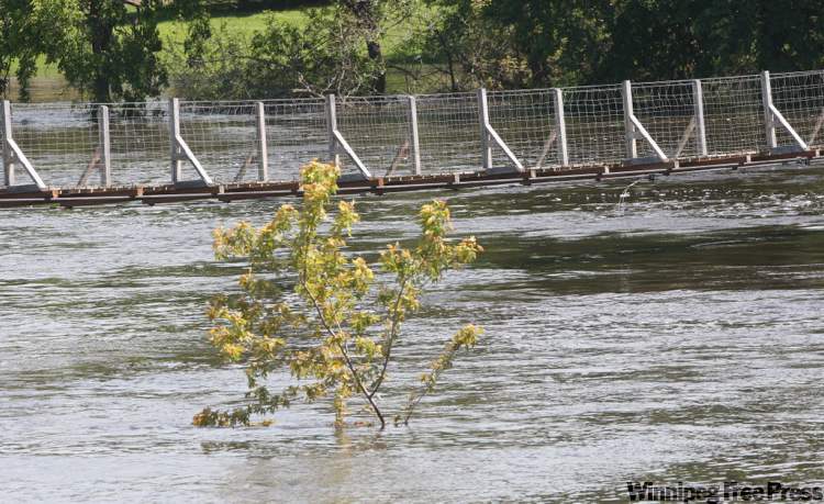 PHOTOS BY JOE BRYKSA / WINNIPEG FREE PRESS
The historic suspension bridge in Souris dangles just above the flooding Souris River.
