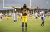 Peter Power / The Canadian Press
Hamilton Tiger-Cats' wide receiver Bakari Grant (84) celebrates his touch-down during first-half CFL football action in Hamilton Monday.