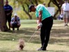 Tiger Woods hits from the rough on the sixth hole during round-robin play at the Dell Match Play Championship golf tournament, Thursday, March 28, 2019, in Austin, Texas. (AP Photo/Eric Gay)