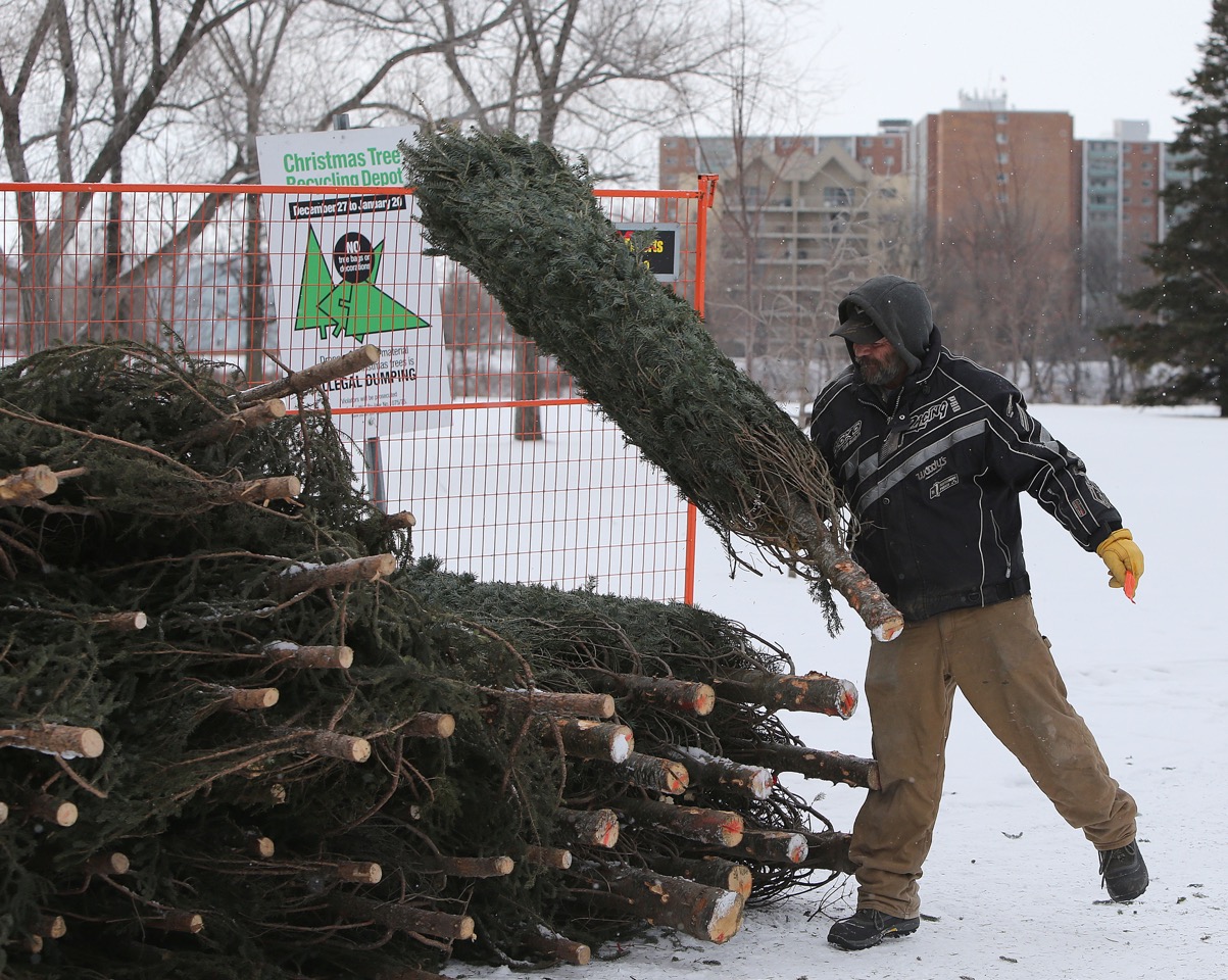 Garbage collection and Christmas tree recycling Winnipeg Free Press