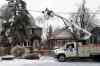 Galit Rodan / THE CANADIAN PRESS/
Workers from Stacey Electric, a Toronto Hydro subcontractor, work to repair downed power lines around Victoria Park and Denton Avenues in Scarborough, Monday, after a severe ice storm hit Toronto.