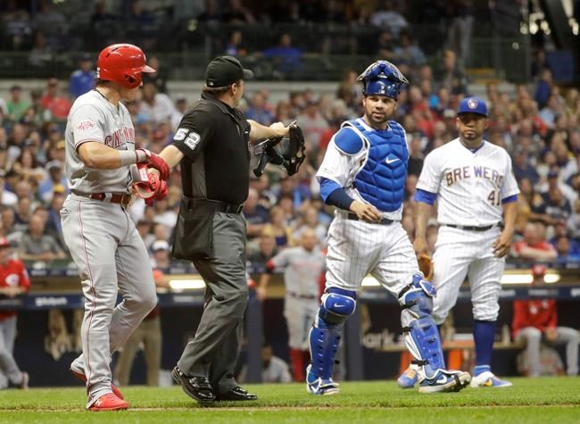 Milwaukee Brewers catcher Manny Pina has work with Cincinnati Reds' Derek Dietrich as he is walked to first after being hit by a pitch during the seventh inning of a baseball game Friday, June 21, 2019, in Milwaukee. (AP Photo/Morry Gash)
