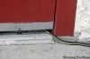 MIKE.APORIUS@FREEPRESS.MB.CA
A snake hides under a door and waits to get in to Inwood Manor.
