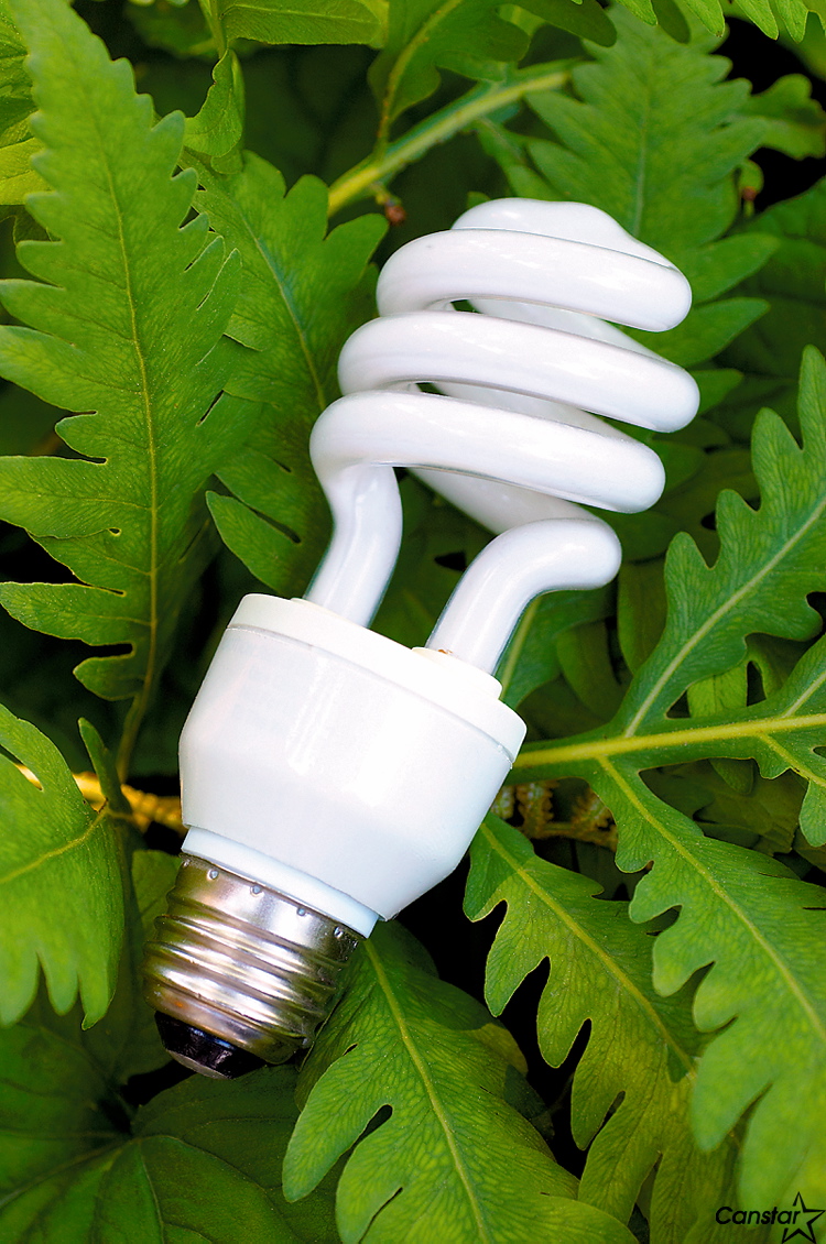 www.jupiterimages.com
Every year about nine million litres of paint and 600,000 fluorescent bulbs are sold in Manitoba.