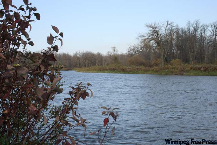 Neil Babaluk for the Winnipeg Free Press
Beaudry Provincial Park follows the meandering Assiniboine River as it cuts through woods filled with towering basswood, cottonwood, and maple trees.