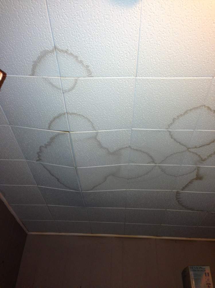 Revealing the ‘Peg’s worst homes Winnipeg Free Press