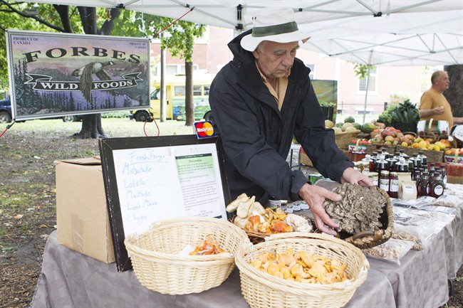Jonathan Forbes holds a basket of wild mushrooms at the Farmers' Market at Toronto's Trinity Bellwoods Park on Tuesday, September 4, 2012, where he has his stall 'Foraged Wild Foods.' THE CANADIAN PRESS/Chris Young