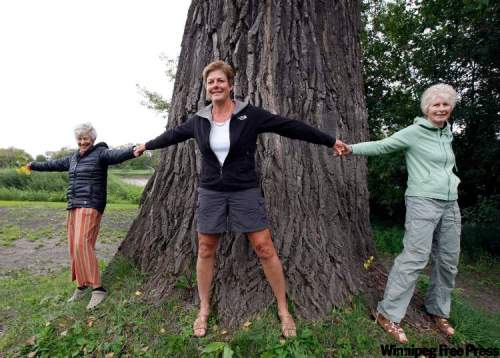 KEN GIGLIOTTI / WINNIPEG FREE PRESS
Property owner Kathleen Richardson (centre) with mother-in-law, Diane Richardson (left), and mom, Neth Van Ek, stretch a ring around the cottonwood.