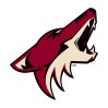 Goldwater calls Scruggs on Coyotes blame game