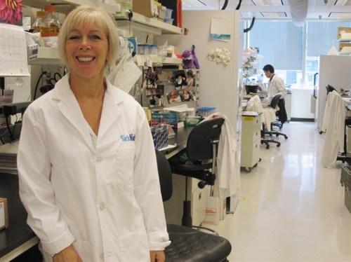 Hospital for Sick Children
Principal investigator Dr.Freda Miller.
