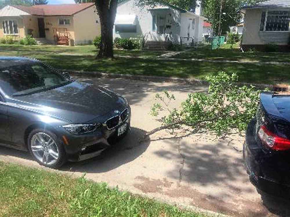 Mother Nature took her revenge on Steve's car. (Steve Lyons / Winnipeg Free Press)