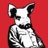 The Pig Stubid Improv Show