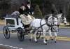 Brad Horrigan / Hartford Courant
A horse-drawn carriage carries Ana Grace Marquez-Greene's casket to the First Cathedral in Bloomfield, Conn., Saturday.