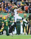 john ulan / the canadian press
Winnipeg Blue Bombers' Jonathan Hefney, right, makes an interception against the Edmonton Eskimos' Fred Stamps, during first half CFL action in Edmonton on Saturday.
