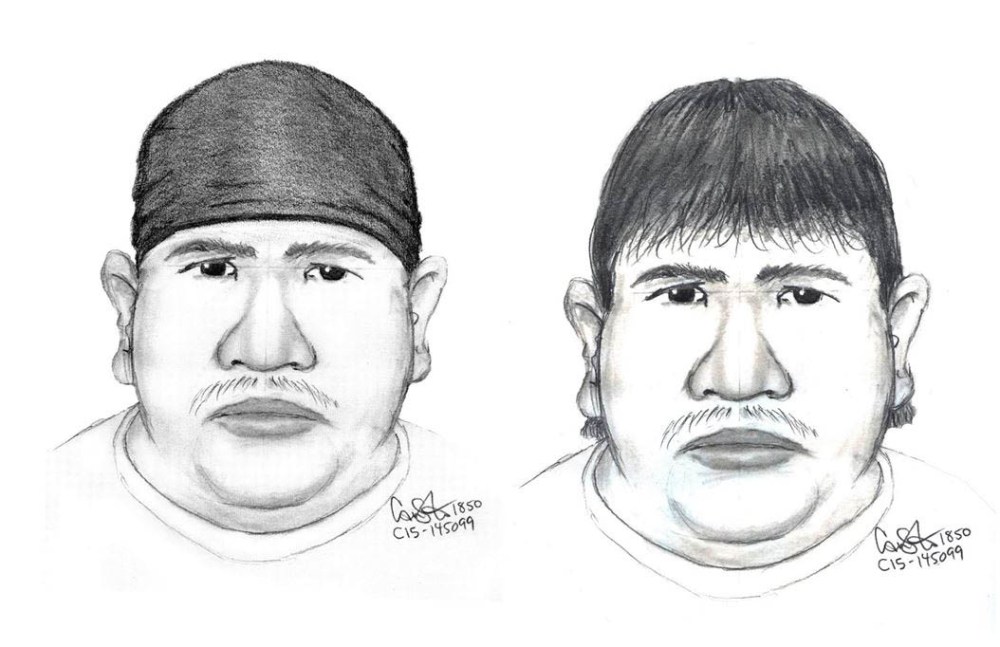 Last month, police released a sketch of a potential suspect who may have been staying in the Valley Gardens area at the time of Krull's disappearance.
