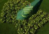 The Masters: By The Numbers