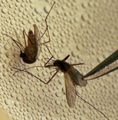 LM Otero / The Canadian Press