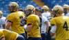 Ken Gigliotti/ Winnipeg Free Press archives
Quarterbacks Alex Brink, Joey Elliott and Buck Pierce.