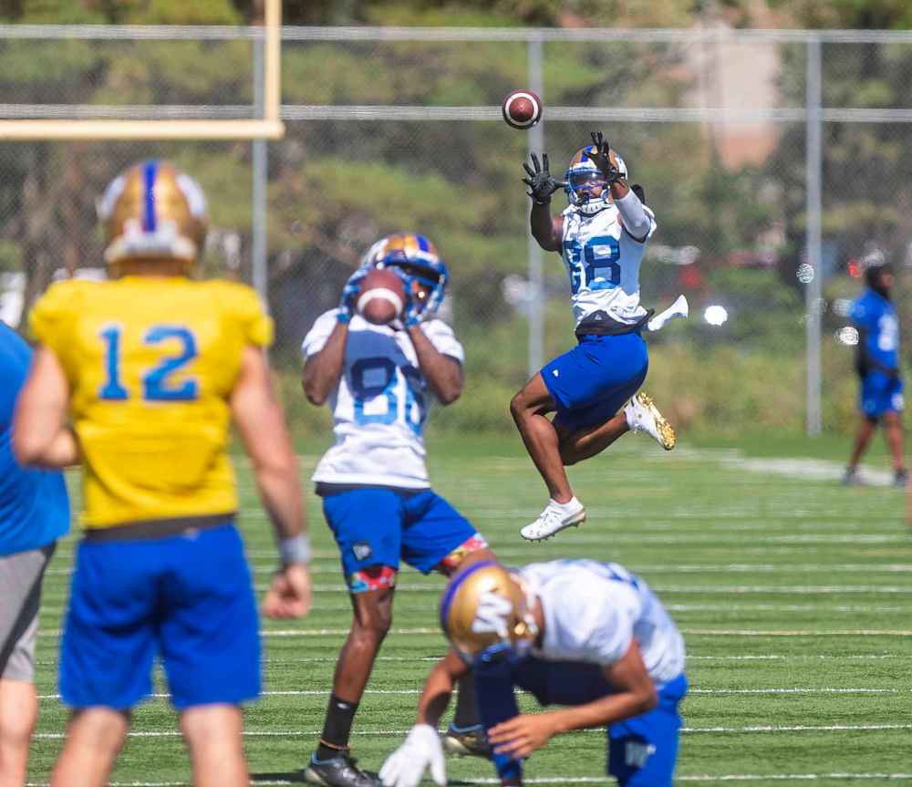 SASHA SEFTER / WINNIPEG FREE PRESS FILES
Winnipeg Blue Bombers wide receiver Rasheed Bailey is listed as a starter and will be expected to play a sizeable roll Saturday.