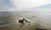 JOE BRYKSA/WINNIPEG FREE PRESS
A shoe floats in flood waters from the Red River on the closed Highway 75 just south of Morris, Man., Saturday afternoon.