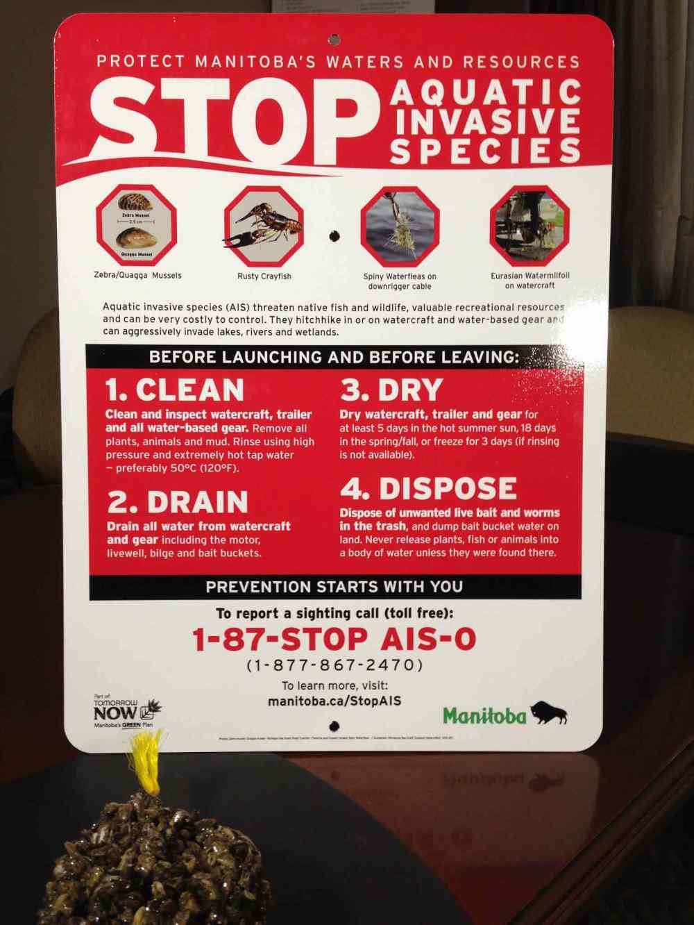 Manitobans are being asked to take precautions against the spread of zebra mussels in the province.