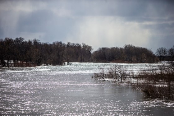 High water in the Marsh River near Aubigny in the municipality of Montcalm on Monday. The RM has had to evacuate eight homes so far. (Mikaela MacKenzie / Winnipeg Free Press).