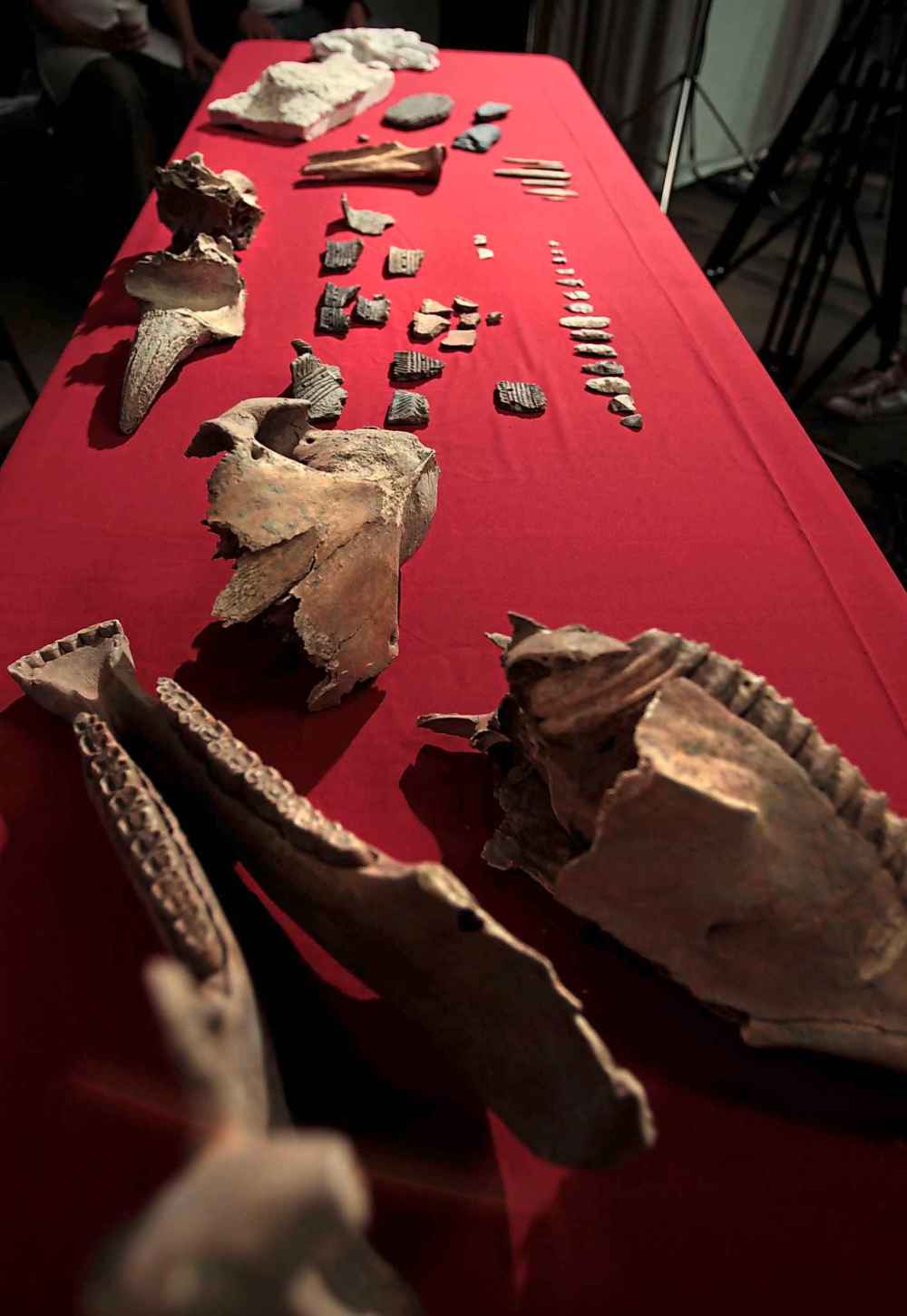 The jaw bones and skull from a horse, pieces of pottery, arrow heads and bison horns were among the items found during the archaeological excavations at the Canadian Museum for Human Rights. (Wayne Glowacki / Winnipeg Free Press files)