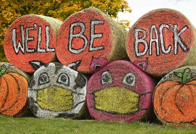 Halloween hay bales with protective masks are shown at the Markham Fairgrounds during the COVID-19 pandemic in Markham, Ont., on Monday, October 19, 2020. THE CANADIAN PRESS/Nathan Denette