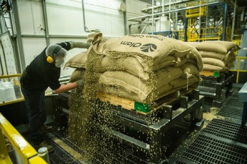 An employee at the Tim Hortons roastery in Ancaster, Ont., slices open bags of unroasted coffee beans. THE CANADIAN PRESS/HO-Tim Hortons MANDATOY CREDIT
