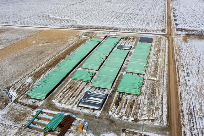 In this Dec. 18, 2020 photo, pipes to be used for the Keystone XL pipeline are stored in a field near Dorchester, Neb. The leader of a group promoting Indigenous participation in oil and gas development as a solution to poverty on reserves says the cancellation of the Keystone XL pipeline by President Joe Biden is a major setback. THE CANADIAN PRESS/AP-Chris Machian /Omaha World-Herald via AP