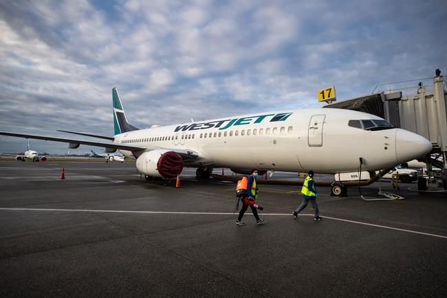A worker carrying a disinfectant sprayer walks past a WestJet Airlines Boeing 737-800 aircraft, after cleaning another plane at Vancouver International Airport, in Richmond, B.C., on Thursday, January 21, 2021. THE CANADIAN PRESS/Darryl Dyck