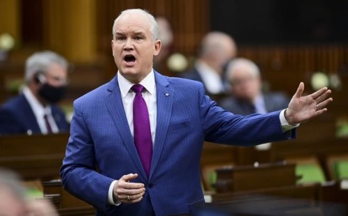 Conservative Leader Erin O'Toole rises during question period in the House of Commons on Parliament Hill, in Ottawa, Thursday, March 11, 2021. O'Toole says his government wouldn't cut foreign aid funding. THE CANADIAN PRESS/Sean Kilpatrick