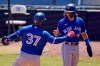 Toronto Blue Jays' Teoscar Hernandez (37) celebrates with Bo Bichette after both scored on his two-run home run off New York Yankees starting pitcher Deivi Garcia during the third inning of a spring training exhibition baseball game in Tampa, Fla., on March 24, 2021. THE CANADIAN PRESS/AP, Gene J. Puskar