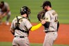 San Diego Padres catcher Victor Caratini (17) talks with starting pitcher Joe Musgrove (44) during the third inning of the team's baseball game against the Miami Marlins, Friday, July 23, 2021, in Miami. (AP Photo/Lynne Sladky)