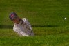 Danielle Kang, of the United States, plays a shot from a bunker on the second hole mer Olympics, Friday, Aug. 6, 2021, at the Kasumigaseki Country Club in Kawagoe, Japan. (AP Photo/Matt York)