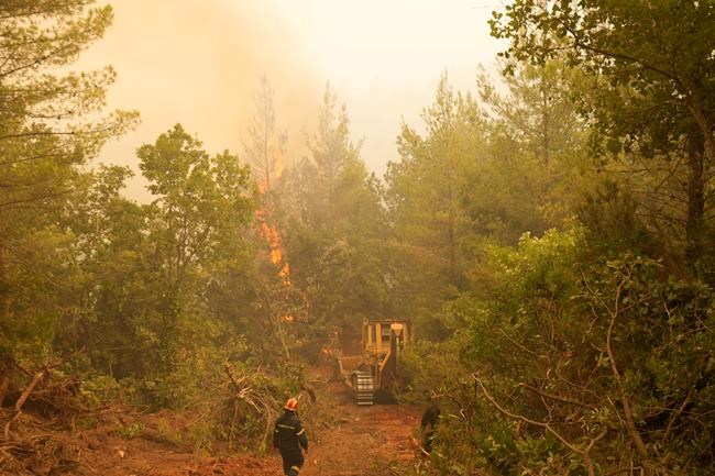 A bulldozer opens fire break during a wildfire at Kamaria village on Evia island, about 189 kilometers (114 miles) north of Athens, Greece, Tuesday, Aug. 10, 2021. Firefighters and residents battled for an eighth day against a massive fire on Greece's second-largest island as the nation endured what the prime minister described as
