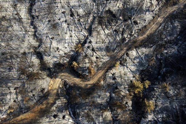 A burnt mountain after a wildfire in Ellinika village on Evia island, about 176 kilometers (110 miles) north of Athens, Greece, Tuesday, Aug. 10, 2021. As Greece's massive wildfires appeared to largely recede Tuesday, the country's civil protection chief defended the firefighting efforts, saying every resource was thrown into the fight against what he described as the fire service's worst challenge ever. (AP Photo/Michael Varaklas)