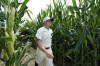 Chicago White Sox first baseman Andrew Vaughn walks through a cornfield before a baseball game against the New York Yankees, Thursday, Aug. 12, 2021, in Dyersville, Iowa. The Yankees and White Sox are playing at a temporary stadium in the middle of a cornfield at the Field of Dreams movie site, the first Major League Baseball game held in Iowa. (AP Photo/Charlie Neibergall)