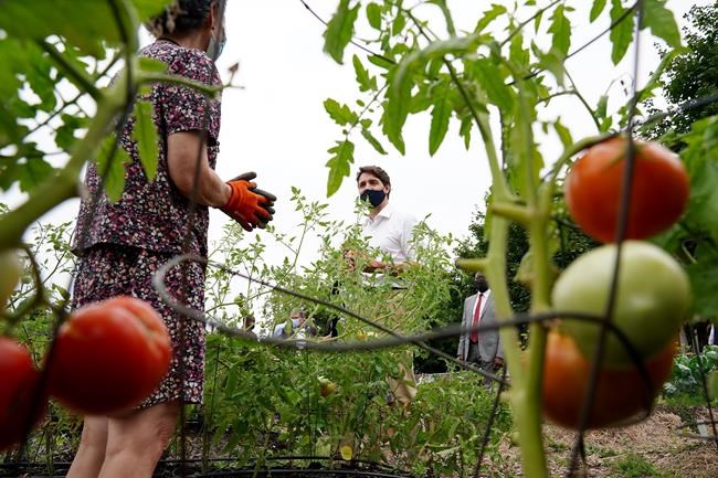 Liberal Leader Justin Trudeau speaks with a senior gardening at a campaign stop in Quebec City, Thursday, Aug. 26, 2021. THE CANADIAN PRESS/Sean Kilpatrick
