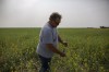 Farmer and Agricultural Producers Association of Saskatchewan President Todd Lewis inspects canola at his farm near Gray, Sask., on Thursday, July 29, 2021. THE CANADIAN PRESS/Kayle Neis