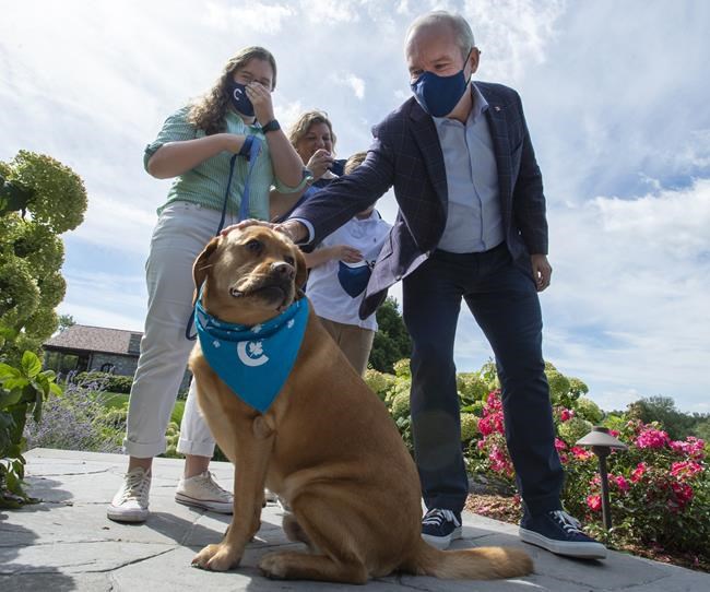 Conservative Leader Erin OToole, his daughter Mollie, right, son, Jack and his wife Rebecca, and their dog, Wexford, visit an animal shelter while campaigning Monday, August 30, 2021 in King City, Ontario. Canadians will vote in a federal election Sept. 20th. THE CANADIAN PRESS/Ryan Remiorz