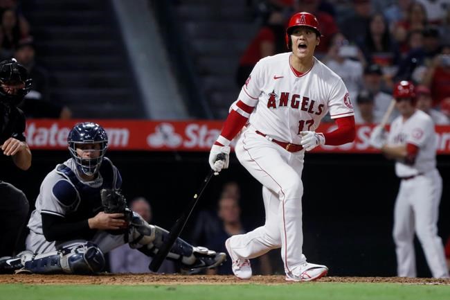 Los Angeles Angels designated hitter Shohei Ohtani, right, yells after hitting a foul ball into the New York Yankees' dugout, as Yankees catcher Gary Sanchez watche during the fourth inning of a baseball game in Anaheim, Calif., Tuesday, Aug. 31, 2021. (AP Photo/Alex Gallardo)