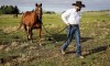 Maverick Party candidate for Banff-Airdrie Tariq Elnaga with his horse Goose on a ranch near Calgary, Alta., Thursday, Sept. 2, 2021.THE CANADIAN PRESS/Jeff McIntosh