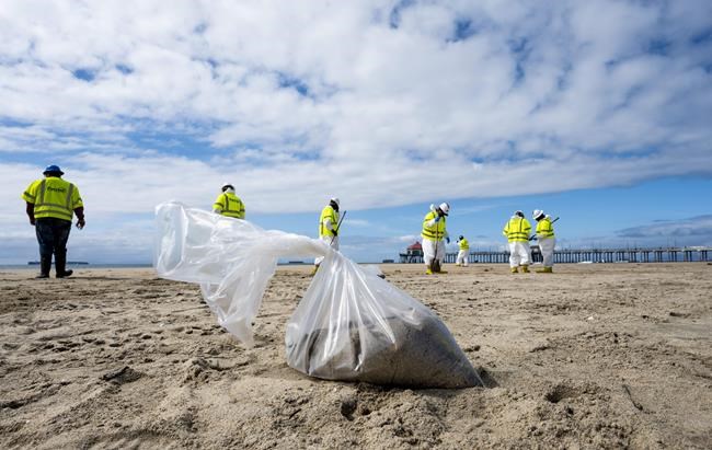 Workers with Patriot Environmental Services pick up oil-contaminated sand and plants south of the pier in Huntington Beach, Calif. on Friday, Oct. 8, 2021. Investigators searching for the cause of an undersea oil pipeline break off the Southern California coast have pointed to the possibility that a ship anchor dragged the line across the seabed and cracked it, but two videos released so far provide only tantalizing clues about what might have happened below the ocean surface. (Paul Bersebach/The Orange County Register via AP)